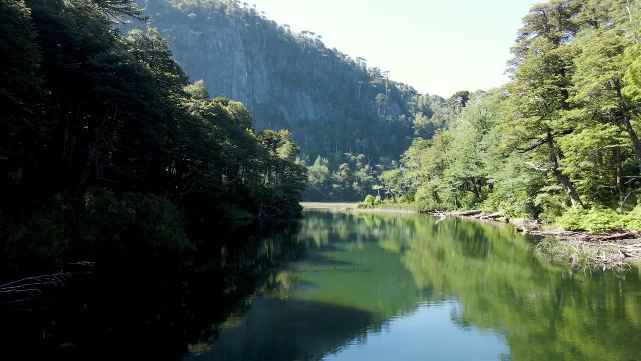 huerquehue 국립 공원의 araucaria 숲을 반영하는 lake chico의 돌리 - 드론 샷