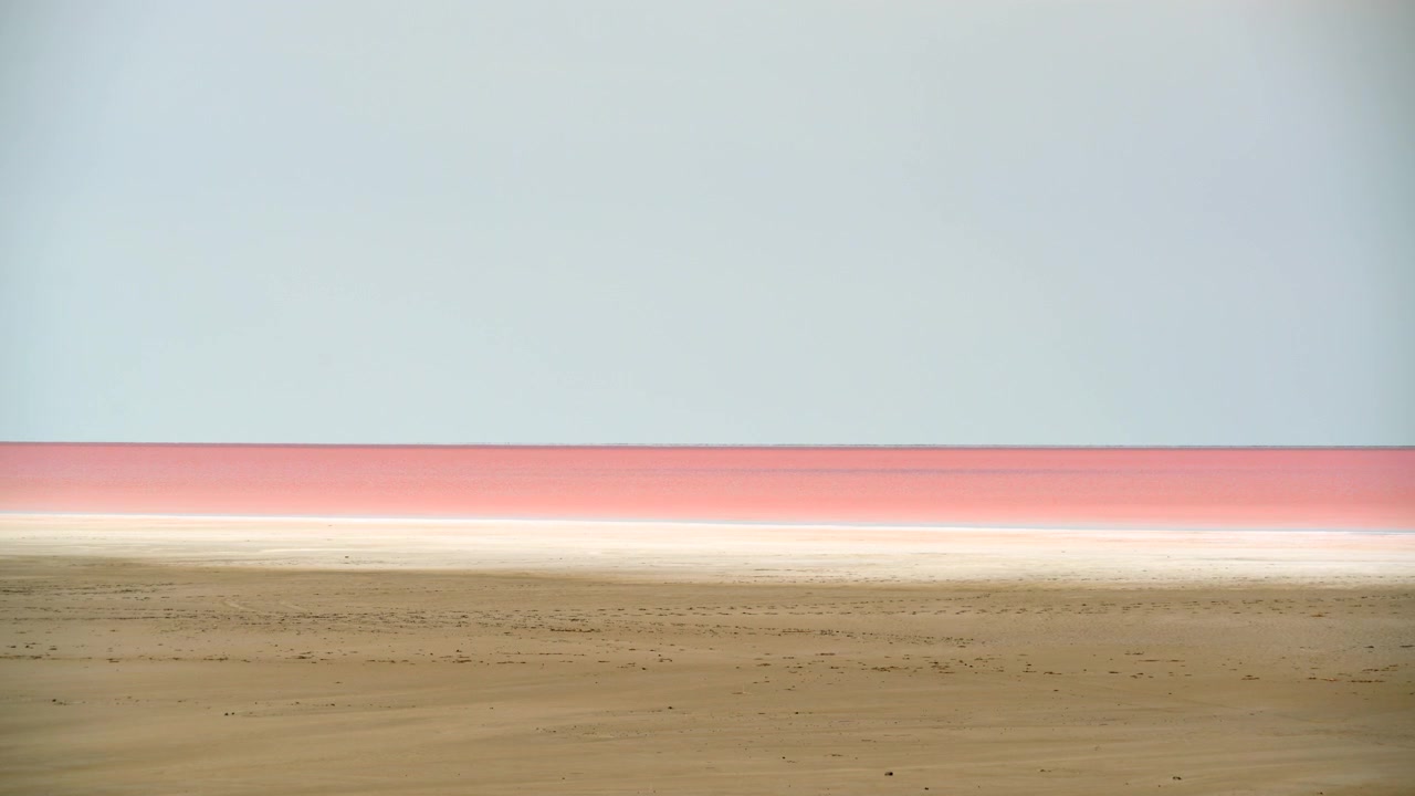 粉紅鹽湖與沙灘海岸的極簡景觀