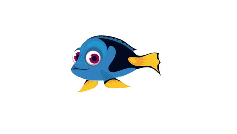 ornamental blue fish swiming sealife animation