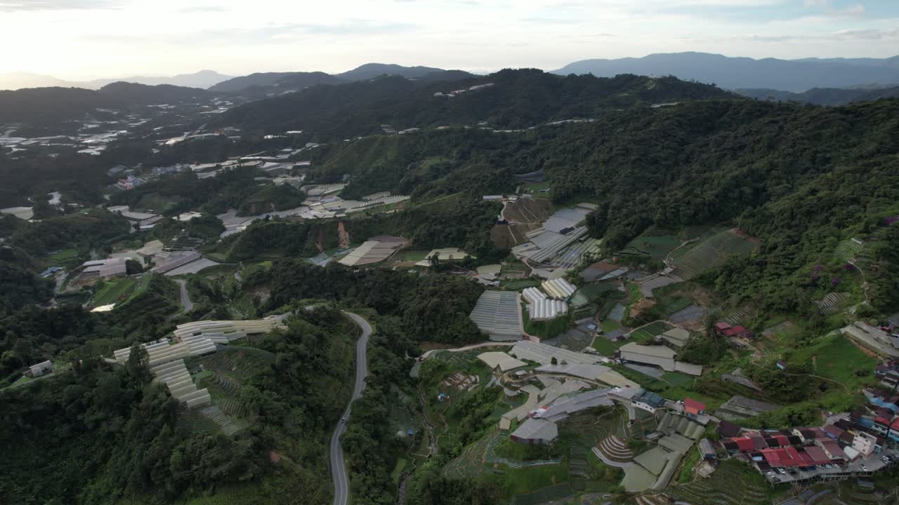 말레이시아의 카메론 하이랜드 지역 내의 브린창 지역의 일반 풍경