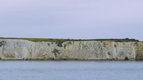 panning view along english coastline of white chalk cliffs with fields and calm sea on overcast day near poole uk 4k