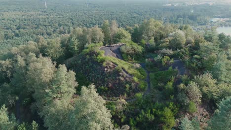 Aerial View of a Hilltop Landscape with Forest and Lake