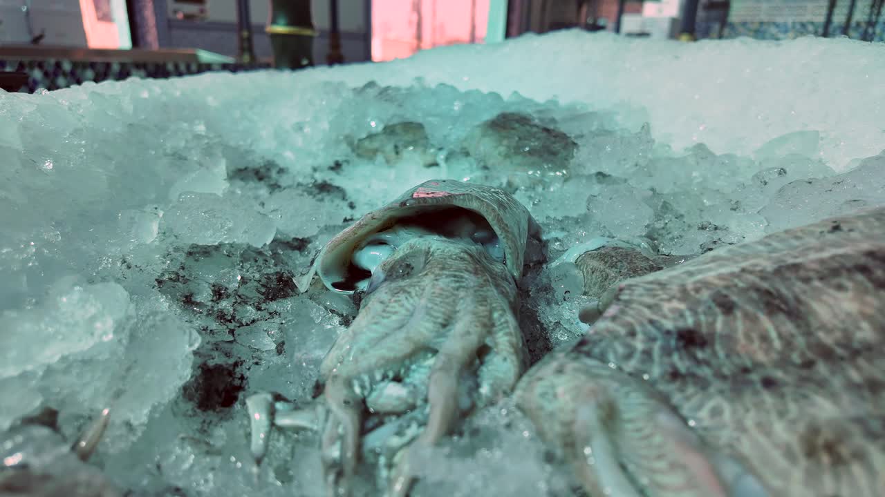 Fresh Cuttlefish and Squid on Ice at a Seafood Market