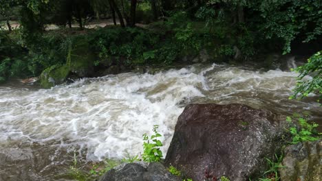 río de montaña furioso en el bosque
