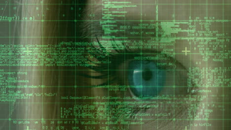 data processing over grid network against close up view of female eye