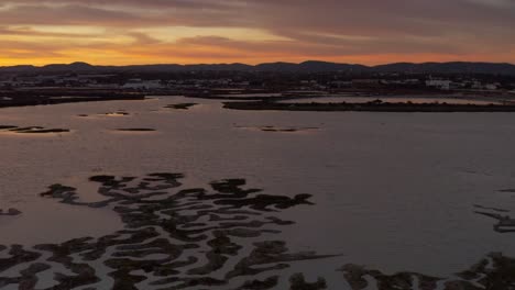 sunset over coastal wetlands with birds