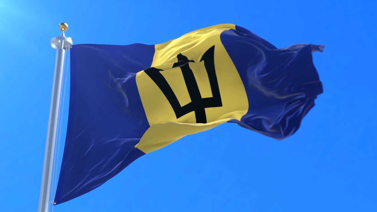 바르바도스의 발이 파란 하늘에서 바람에 흔들리고, 루프