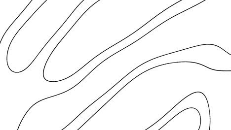 circular harmony black and white drawing of interlocking lines