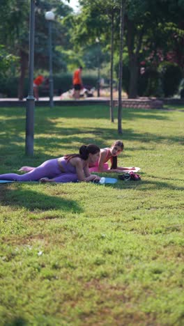 dos mujeres practicando yoga en un parque