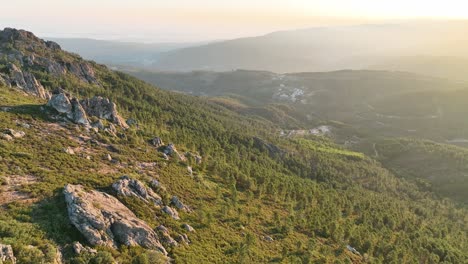 forest-covered countryside in portugal - baloiço dos penedos de góis