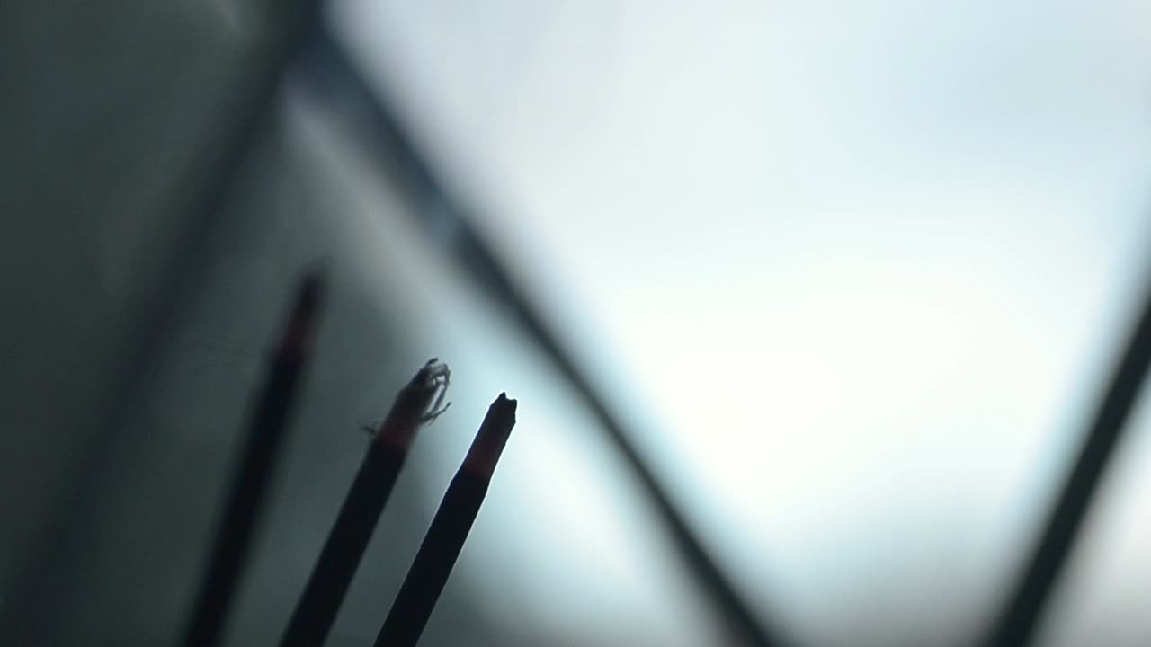 Incense burning with smoke