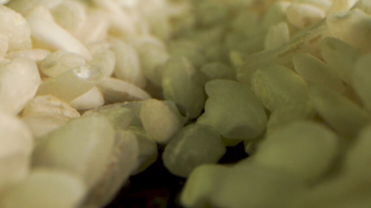 Macro moving back in Italian Arborio rice for risotto