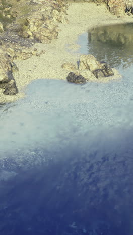 calm coastal view of rocky shore and clear water in sunlit setting
