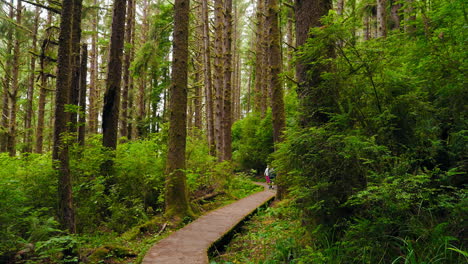 mom and kids share a special day in the quiet forest