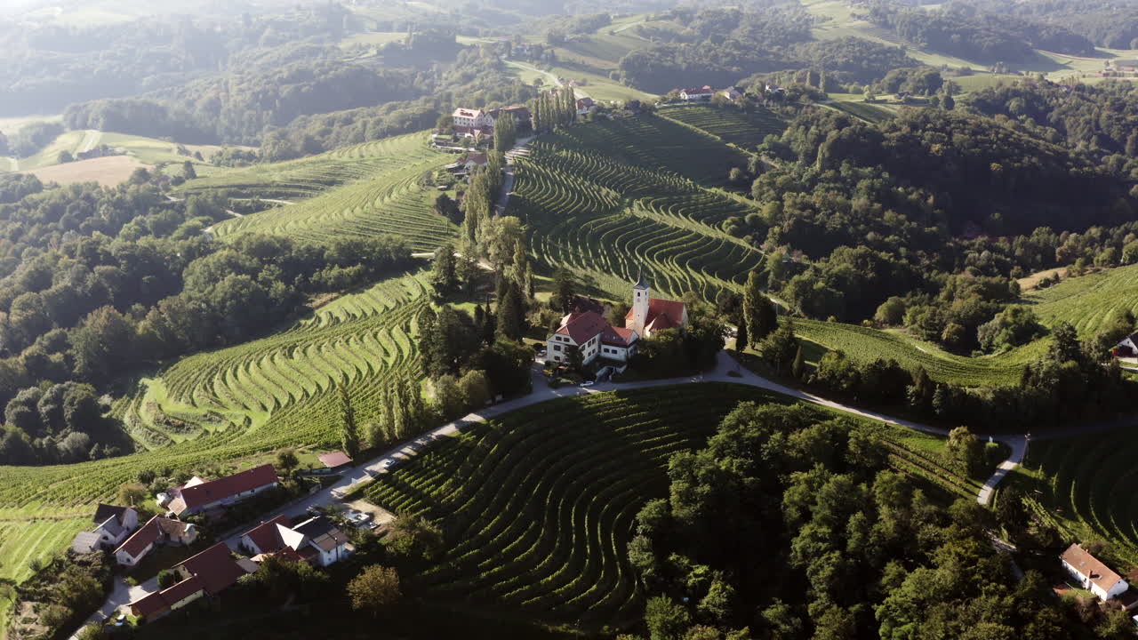 Vista aerea di vigneti terrazzati e borgo