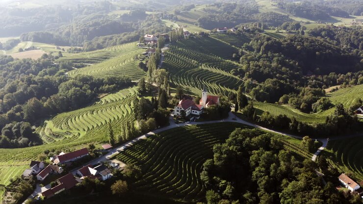 Aerial View of Terraced Vineyards and Village
