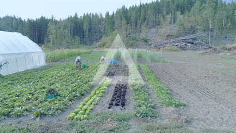 farmers working in vegetable garden with circular data processing animation overlay