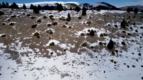 Verschneite-Landschaft-An-Einem-Sonnigen-Tag-Eines-Alpenwaldes-Auf-Einem-Berggipfel-Im-Winter,-Gesehen-Von-Einer-Dji-Drohne-Im-Seitenflug