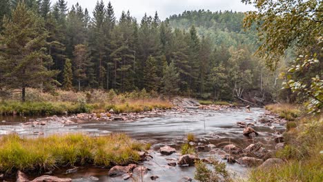 Esta-Niebla-Gira-Sobre-El-Bosque-Sombrío-Y-Un-Río-Poco-Profundo-Con-Un-Lecho-Rocoso