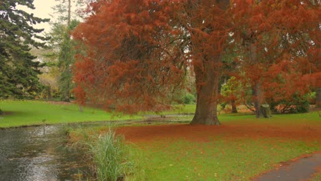A tree with its fallen leaves covering the grass next to a pond in the park