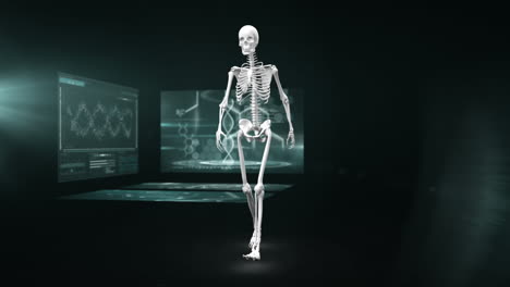 animación de un esqueleto humano que camina con una pantalla científica