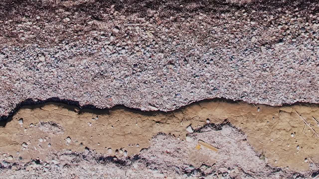Collezione di conchiglie sulla spiaggia di Rodi, Grecia, durante il giorno