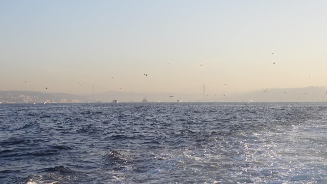 이스탄불 보스포루스 조류