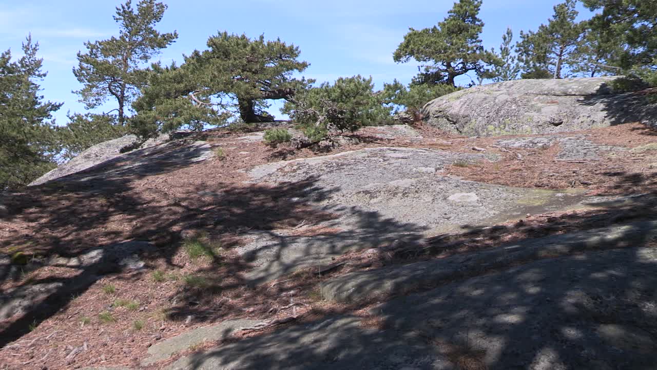 roca madre, granito en finlandia con árboles