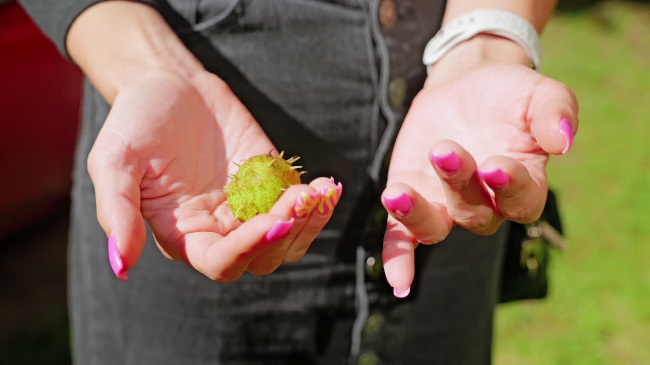 Slow motion chestnut in woman’s hands symbolizing risks of green transition