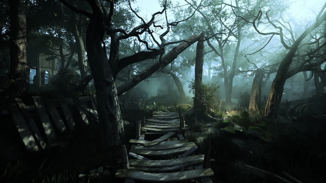 Dark forest wooden path
