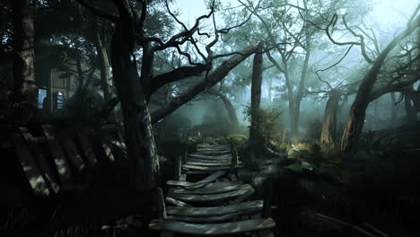dark forest wooden path