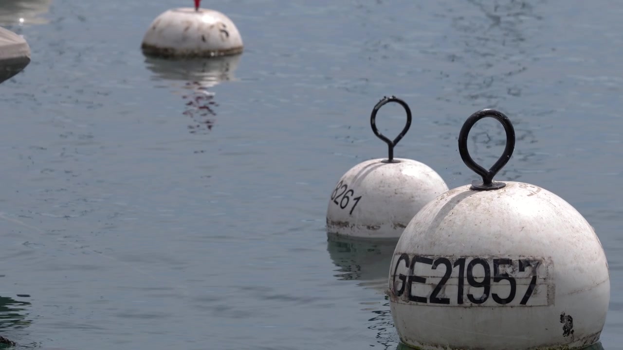 Spherical white navigation buoys bob gently in clear lake water under bright daylight conditions.