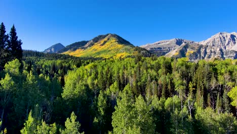 pull back aerial view of rugged mountains with aspens turning yellow and a valley with a pine forest in early autumn