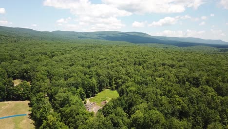 panoramic view of lush green forest in scotland