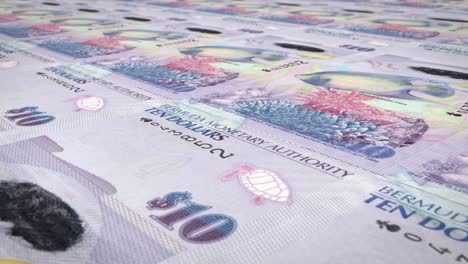 billetes de diez dólares de las bermudas, dinero en efectivo