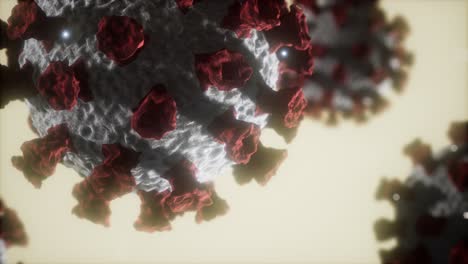 coronavirus covid-19 medical model
