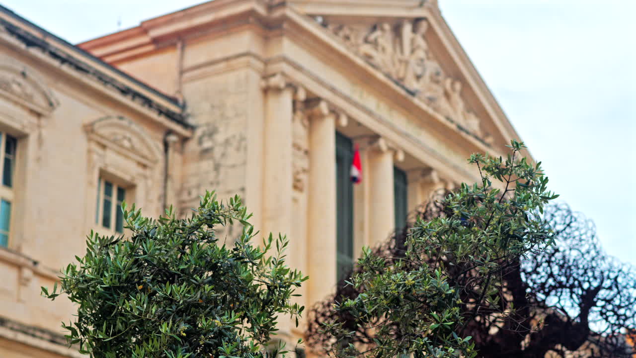 Close up of a green tree with a blurred view of the Nice courthouse on the background
