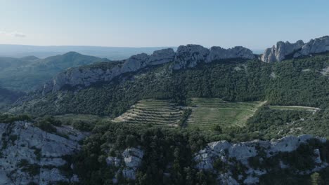 Toma-Aérea-De-Drones-Volando-Sobre-Viñedos-Vaucluse-Provenza-Dentelles-Montmirail-Francia