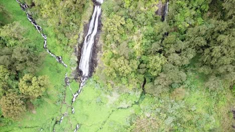 Insel-La-Réunion-„Segel-Des-Bräutigams