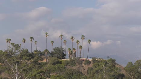 lapso de tiempo de palmeras de los ángeles