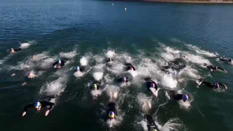 a group of athletes swimming in open water during a race