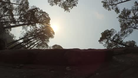 Cloud-and-sun-view-between-the-trees-in-the-Himalayas,-upper-Himalayas-Uttarakhand,-India