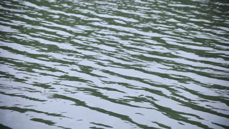 a slow motion of rain drop in the water the pond rainy day