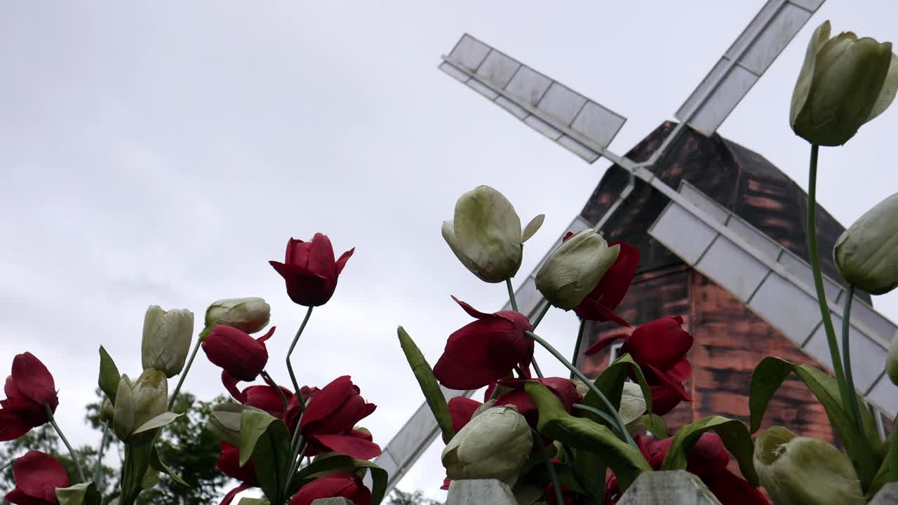 정오에 전형적인 네덜란드 풍차와 꽃밭이 있는 전통적인 네덜란드 풍경