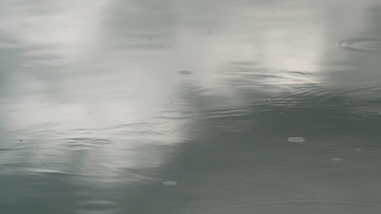Rain Drops on Water
