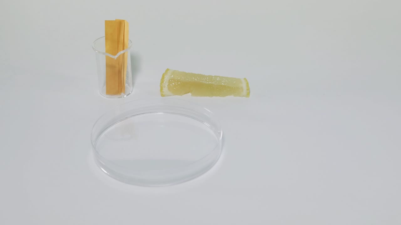 레몬 주스의 산성을 리크무스 종이로 검사합니다.