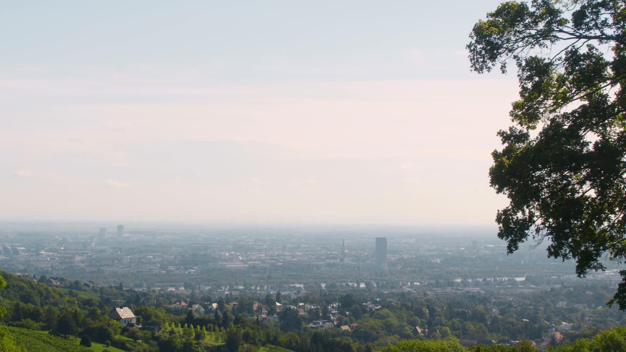 여름 동안 비엔나 도심 전망