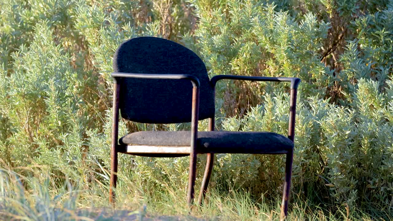 A solitary chair sits amidst dense greenery in Bellarine, Victoria. Natural lighting highlights the serene outdoor setting