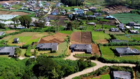 Flying-Over-Beautiful-Green-Landscape-Plantation-Distributed-around-Nice-Houses-Architecture,-Sri-Lanka