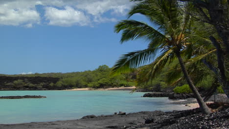 una playa de arena negra y palmeras bordean una isla tropical